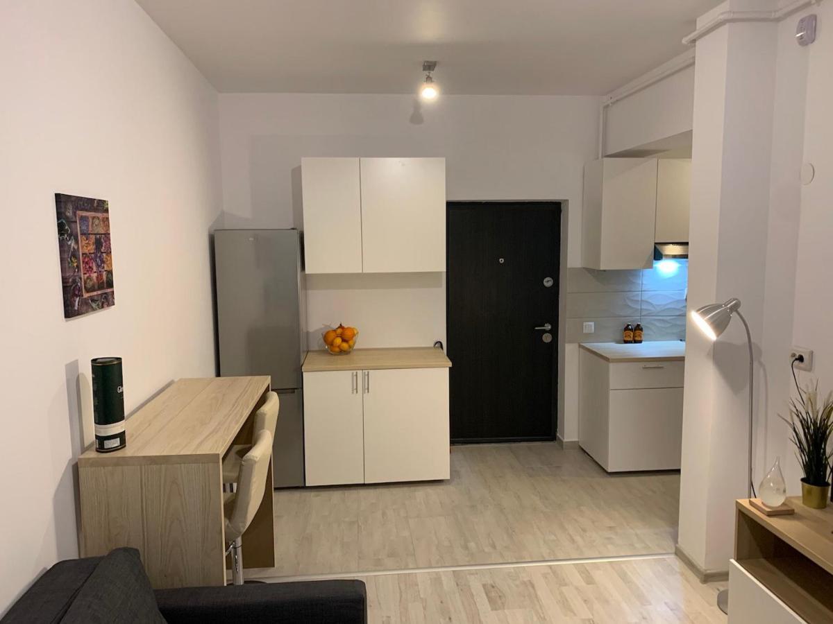 Ray Luxury Apartment Close To Presidential Palace Букурещ Екстериор снимка